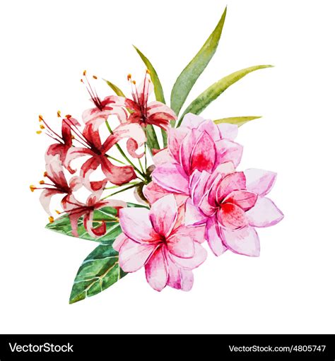 Watercolor Flower royalty free vectors and images.